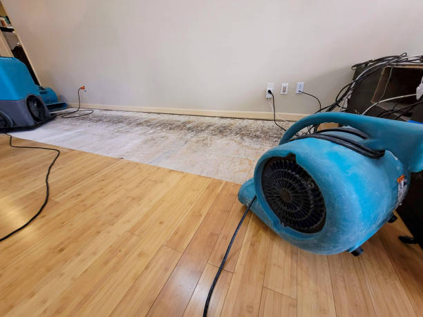 Professional Emergency Water Damage technician working in Canoga Park, CA